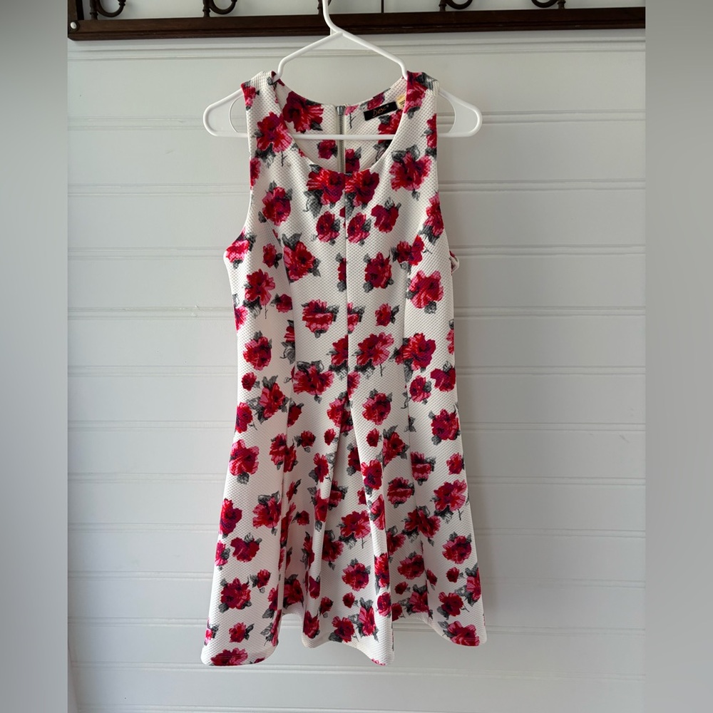 Dex Red and White Floral dress